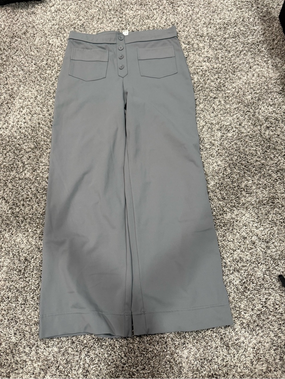 HALARA women’s Wide-Leg Trousers in Gray with Button Fly